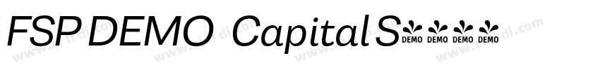 FSP DEMO   Capital S字体转换